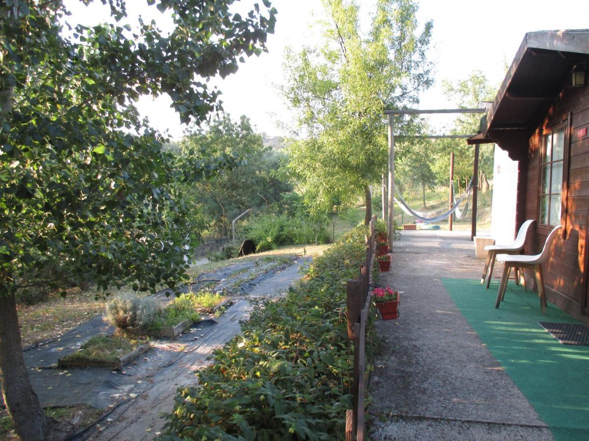 Bungalow "A Choupana" - Quinta Da Carvoica - Vale Pradinhos Vale de Pradinhos Εξωτερικό φωτογραφία