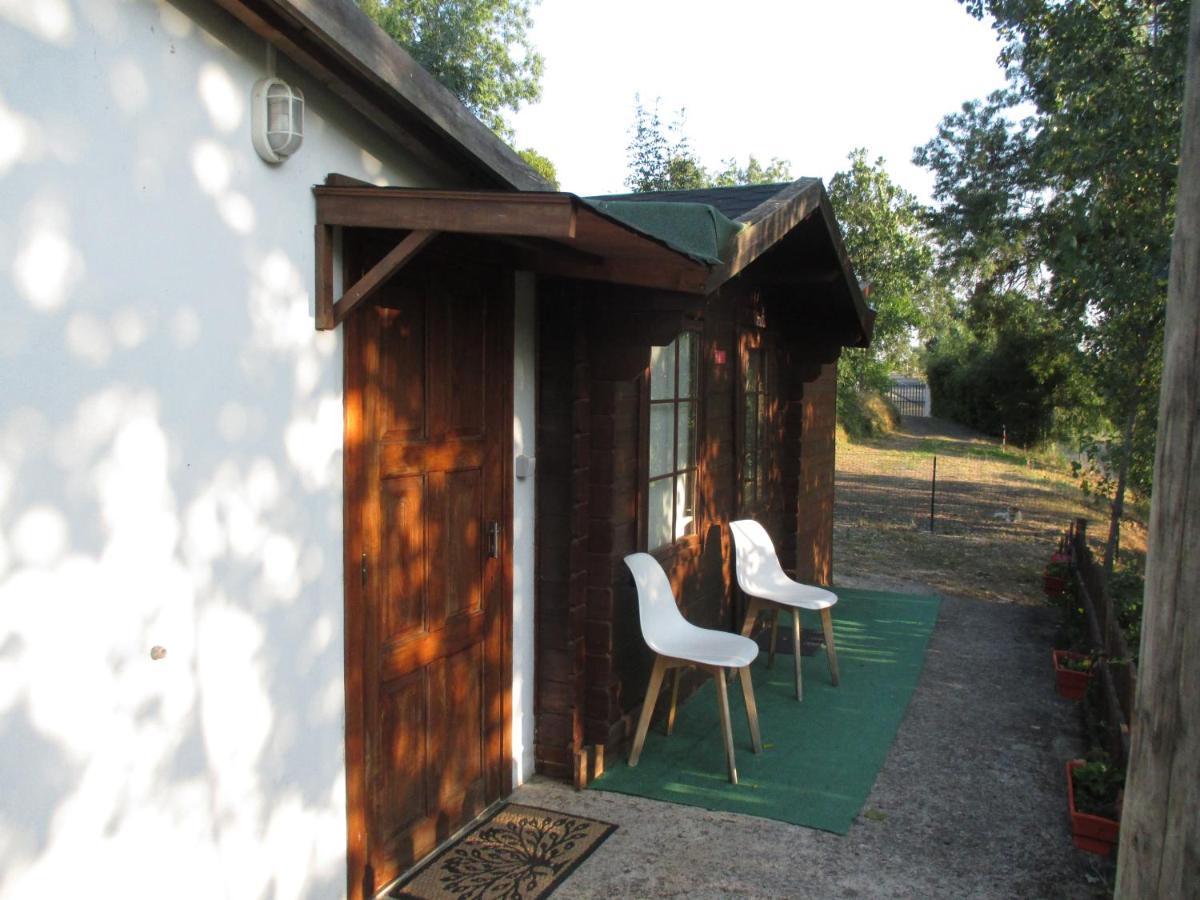 Bungalow "A Choupana" - Quinta Da Carvoica - Vale Pradinhos Vale de Pradinhos Εξωτερικό φωτογραφία