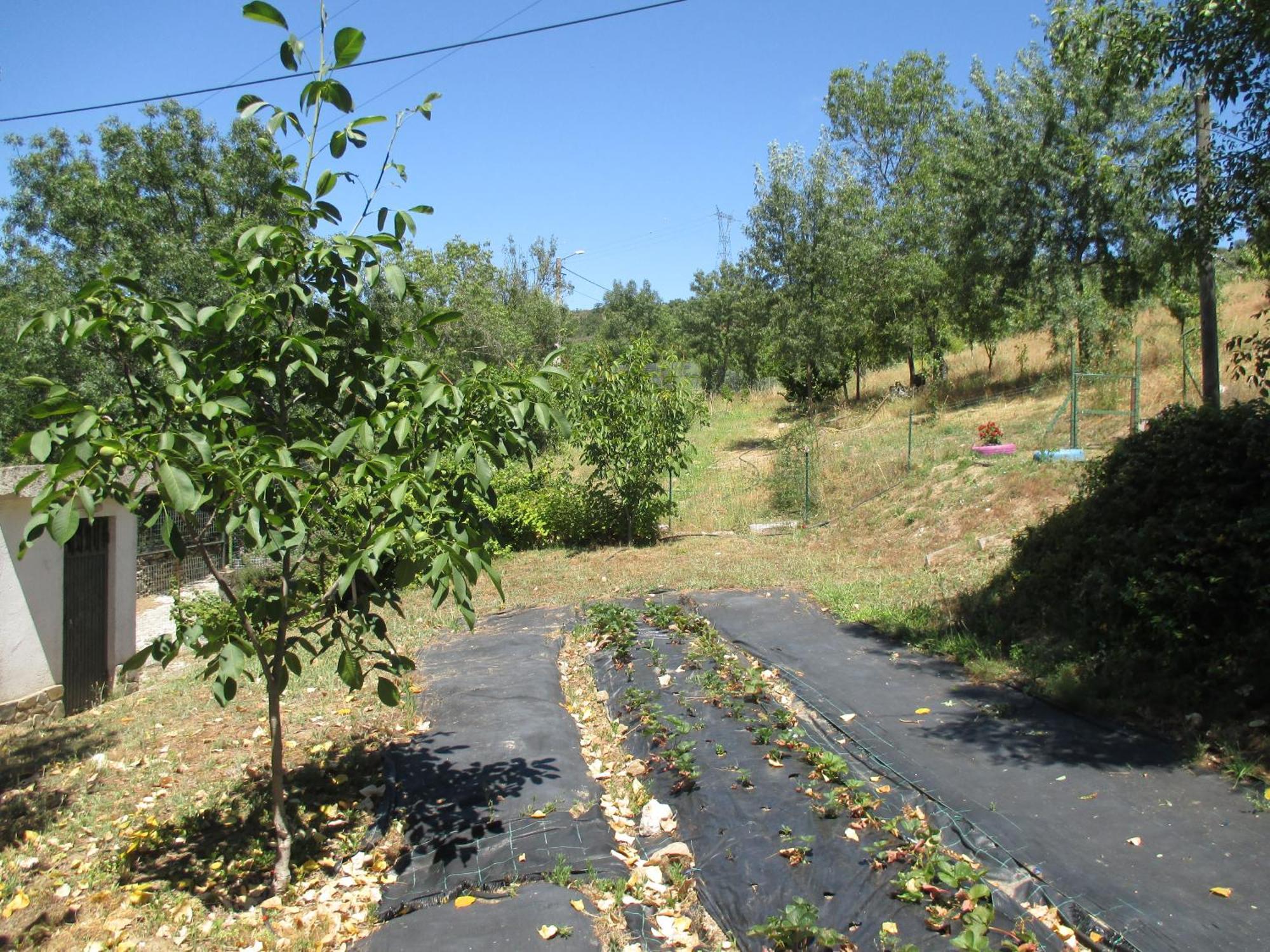 Bungalow "A Choupana" - Quinta Da Carvoica - Vale Pradinhos Vale de Pradinhos Εξωτερικό φωτογραφία